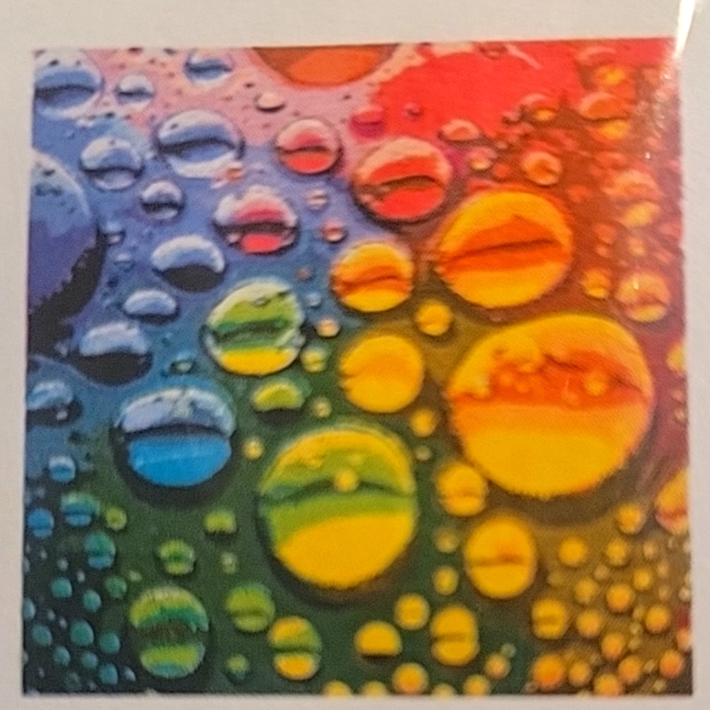 Paint By Numbers On Canvas. New In Box